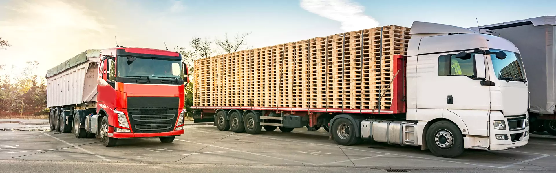 The Power of Pallets Revolutionizing Storage
