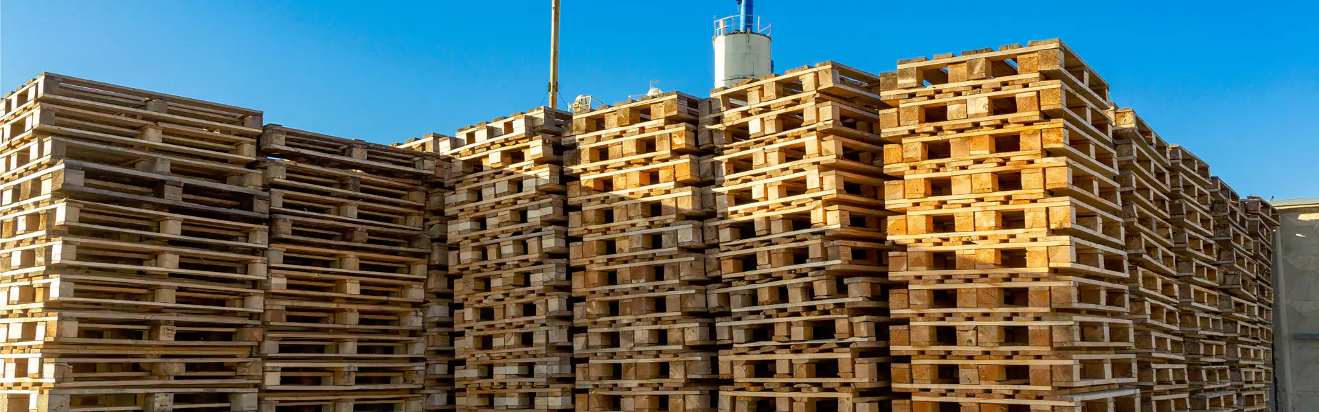 Top 5 Benefits of Using Salvage Timber for Your Home Renovation